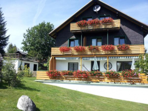  Schwarzwald-Chalet Feldberg  Фельдберг